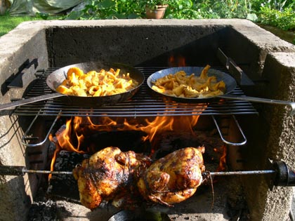 Griller in Dopelfunktion02