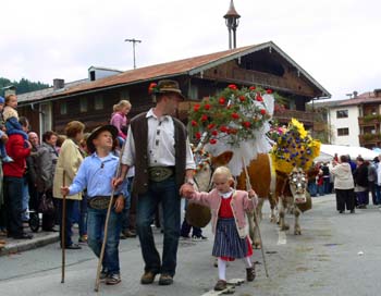 Almabtrieb Nachwuchs1